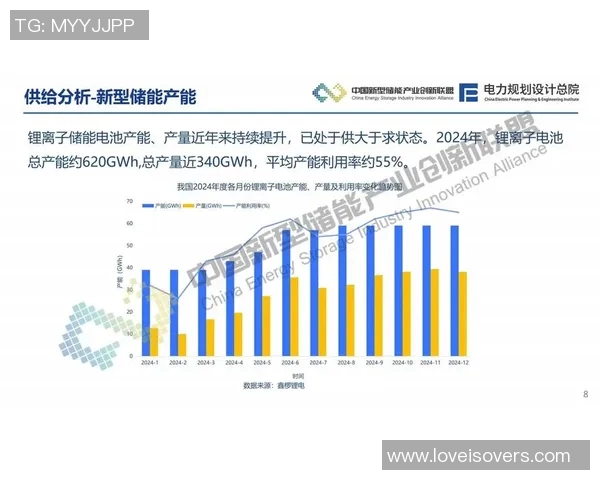 探索NIP在数字经济中的创新应用与未来发展趋势分析