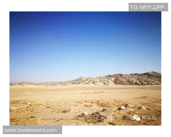 野猫与童家堡的春天交响曲PEL春的奇幻旅程与自然的和谐共生